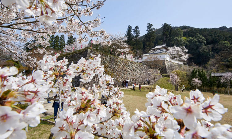 IZUSHI CASTLE TOWN