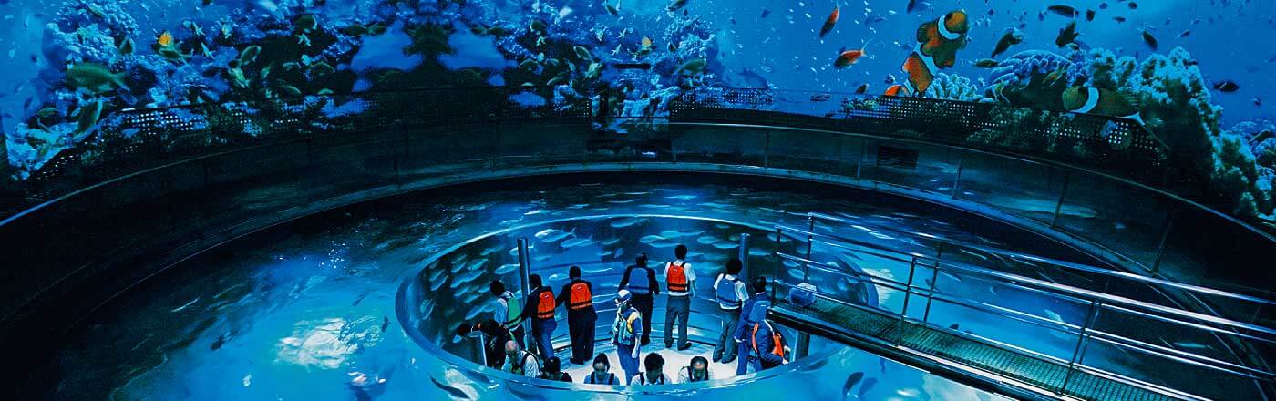 Marine World Aquarium Hiyoriyama