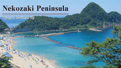 Trekking to Nekozaki Peninsula